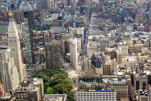 New York urban jungle 