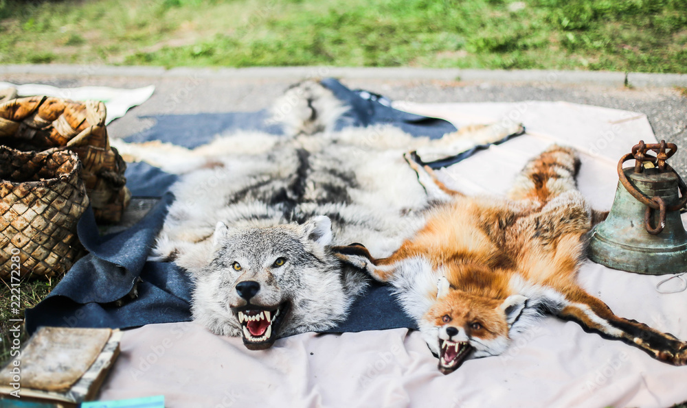 fur of killed wolf and fox animals. carpet for the floor of a country  house. Stock Photo | Adobe Stock