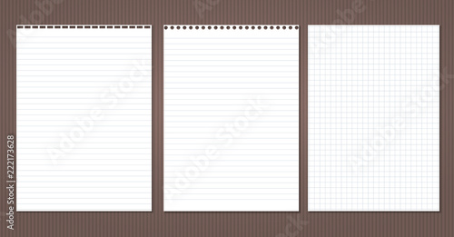 White lined and squared note, notebook paper stuck on brown lined backgroud. Vector illustration.