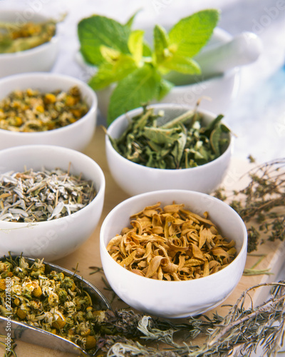 Alternative Medicine. Herbal Therapy. Healing plants.