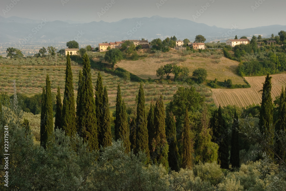 Beautiful rolling hills viewed from the town, Montefalco, in the Umbrian region of Italy