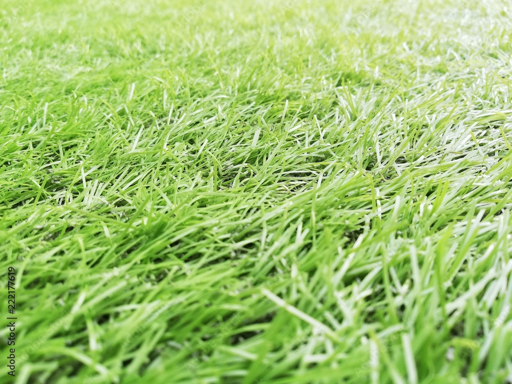 full Frame Green artificial grass. full Frame Green artificial grass.