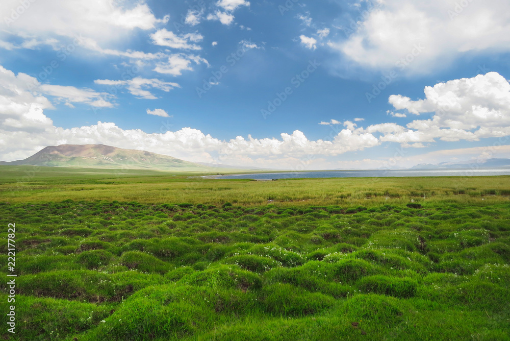 Beautiful Flat Green Gras in Kyrgystan, Song Kol lake