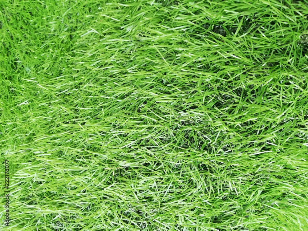 full Frame Green artificial grass. full Frame Green artificial grass.