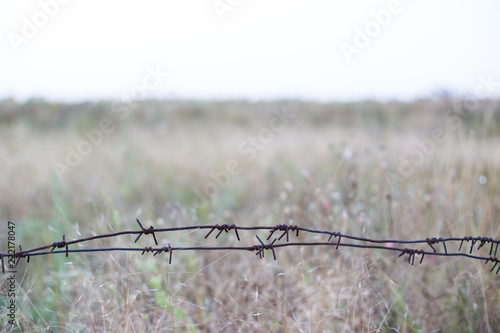 barbed metal wire stretched