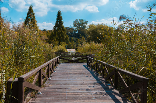 walking bridge in the park.