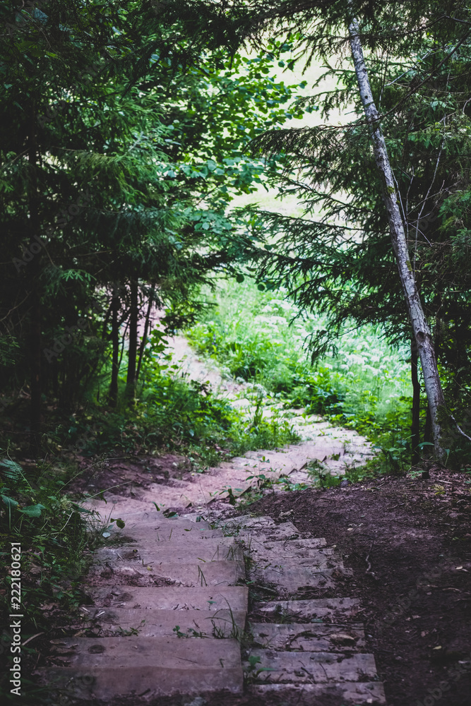 simple gravel country road in summer in forest simple gravel country road in summer in forest