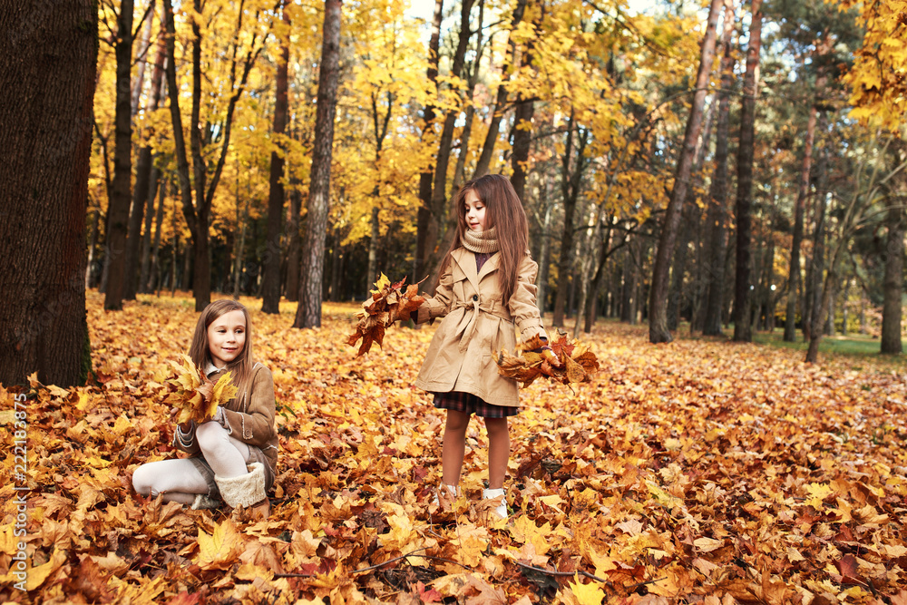 two beautiful happy baby girls having fun in autumn park, among fallen leaves two beautiful happy baby girls having fun in autumn park, among fallen leaves