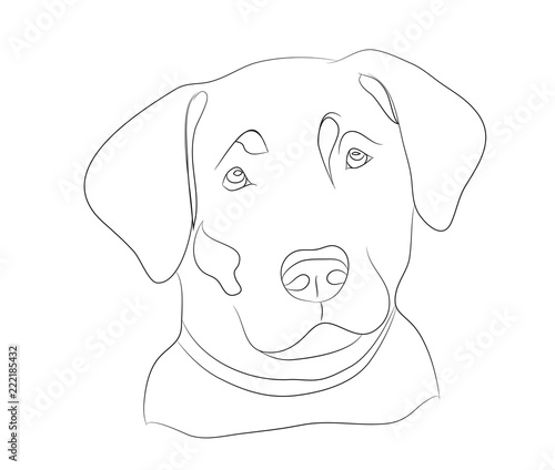 dog portrait, lines, vector