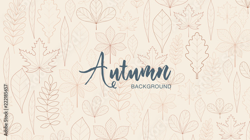 Autumn leaves background. Thanksgiving day background. Autumn leaves and place for text. Light and dark brown colors