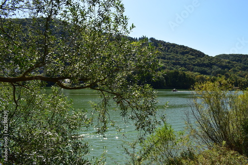 Moselufer bei Löf im Herbst photo