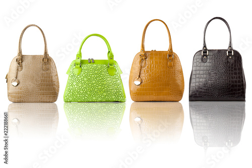 Set of reptile skin handbags, isolated on white background.Front view.
