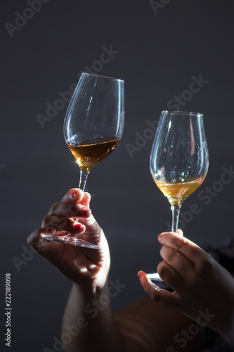 Obraz na plátně Wine comparison