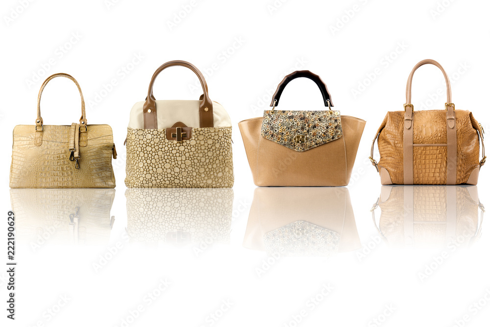 Handbags collection isolated on white background.Front view.
