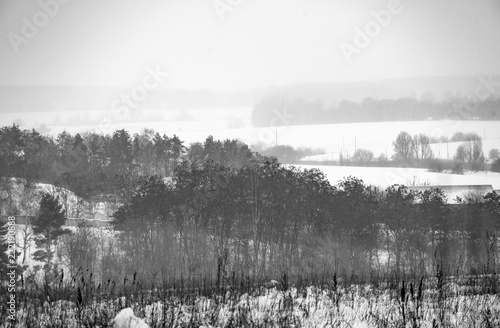 Black trees, snow-covered fields and fog.
