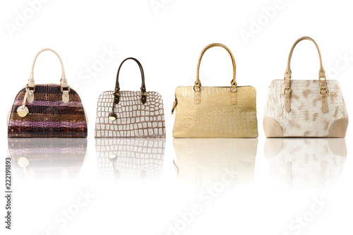 Reptile leather handbag collection isolated on white background.Front view.
