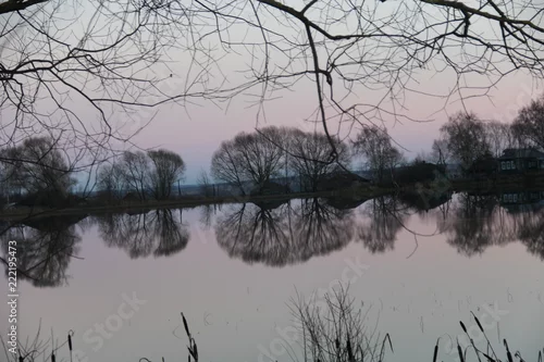 Obraz drzewo na jeziorze