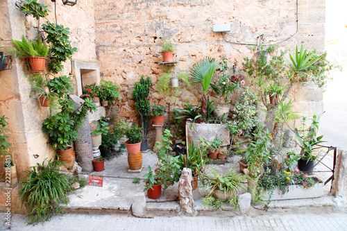 Fototapeta Naklejka Na Ścianę i Meble -  Beautiful Mediterranean small courtyard garden