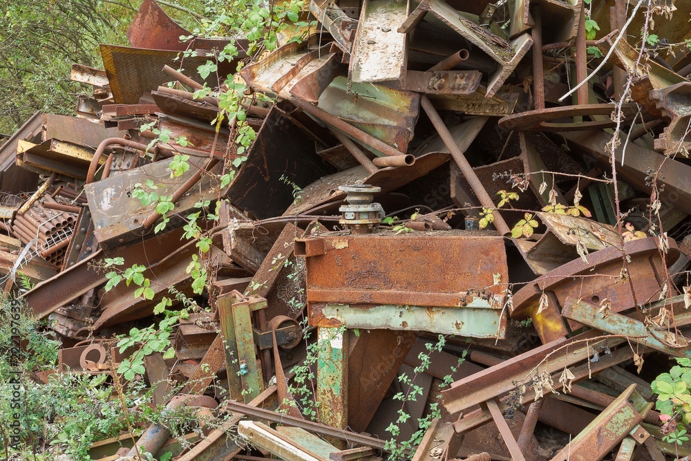 Nature Reclaiming Abandoned Metal: A Rusty Symphony of Industrial Decay Nature Reclaiming Abandoned Metal: A Rusty Symphony of Industrial Decay