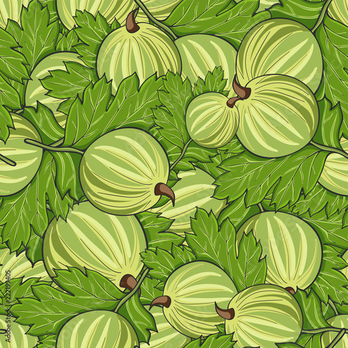 Seamless pattern all gooseberry, vector