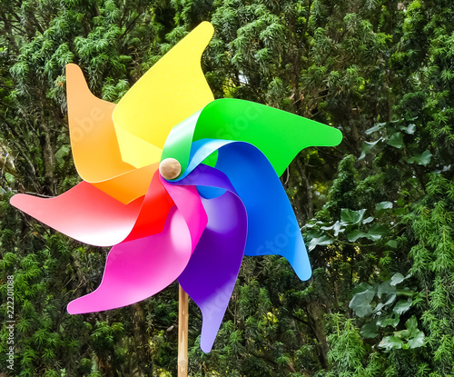 Large outdoor brightly multi coloured stationary plastic windmill on bamboo cane. Standing in front of green mixed hedging. Italy.  photo