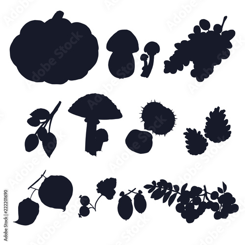 Autumn crop vector silhouettes. Autumn harvest, pumpkin, mushrooms, grape and wild berries shadows for your design.