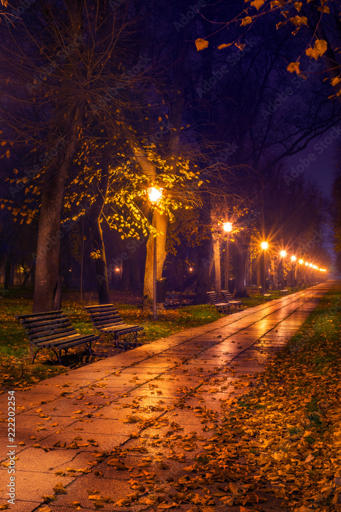 Photography Alley in the park in the night covered in leaves