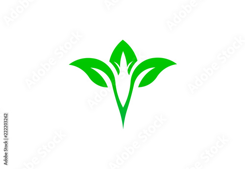 Leaf green natural logo vector