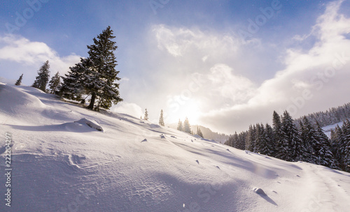 Beautiful  winter scenery in the mountains, with fresh snow, and mist, on a bright sunny day © Calin Tatu