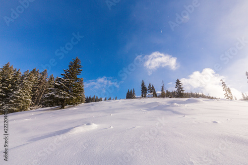 Alpine winter scenery, with fresh snow and mist, on a bright day, in the Alps