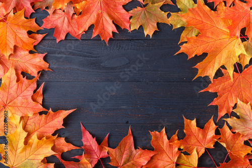 Autumn leaf composition for picture frame. Copy space.
