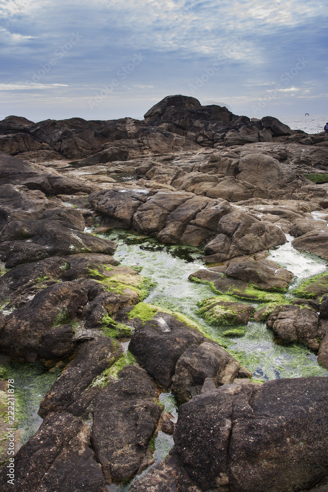 ROCAS Y VERDE