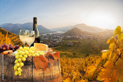 Fényképezés White wine with barrel on famous vineyard in Wachau, Spitz, Austria