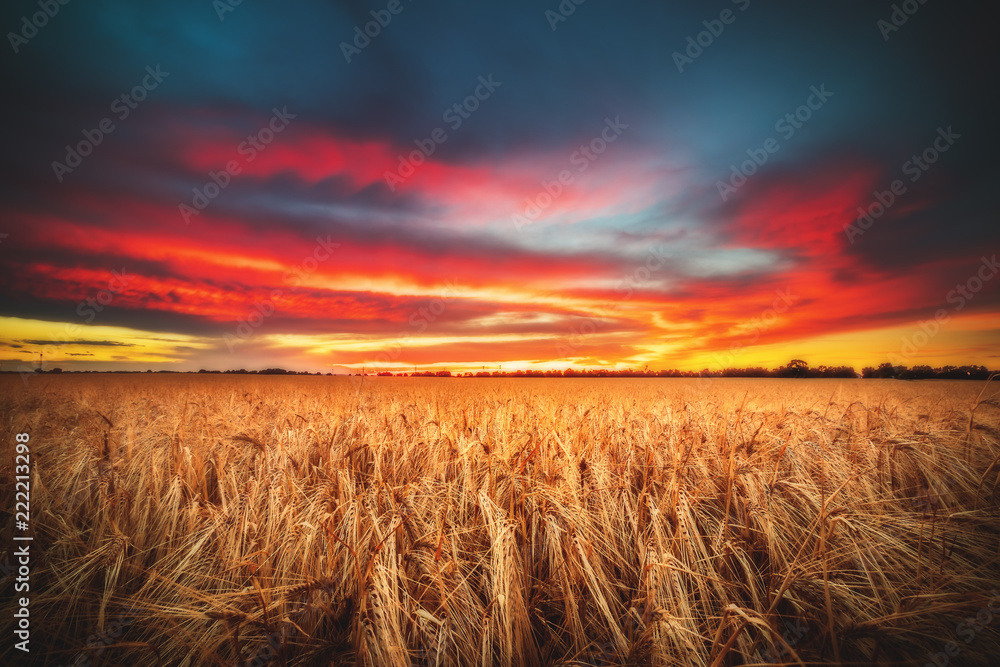 Obraz premium Sonnenuntergang