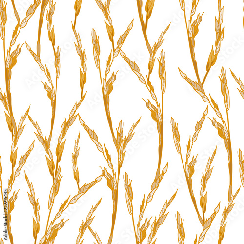 Vegetable seamless pattern of interlaced ears of corn grass.