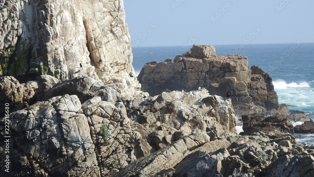 Landscape, beach, rocky cliff, nature and birds