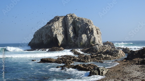 Landscape, beach, rocky cliff, nature and birds