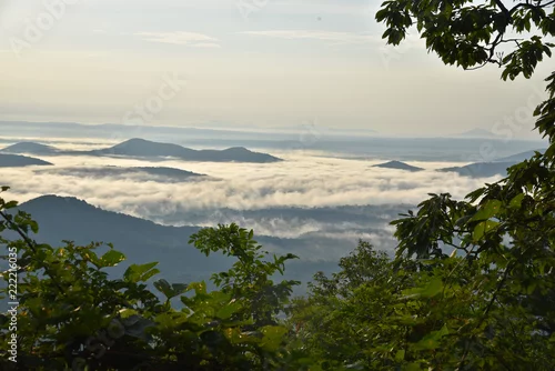 Obraz krajobraz z drzewami