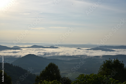 Fog In Mountains