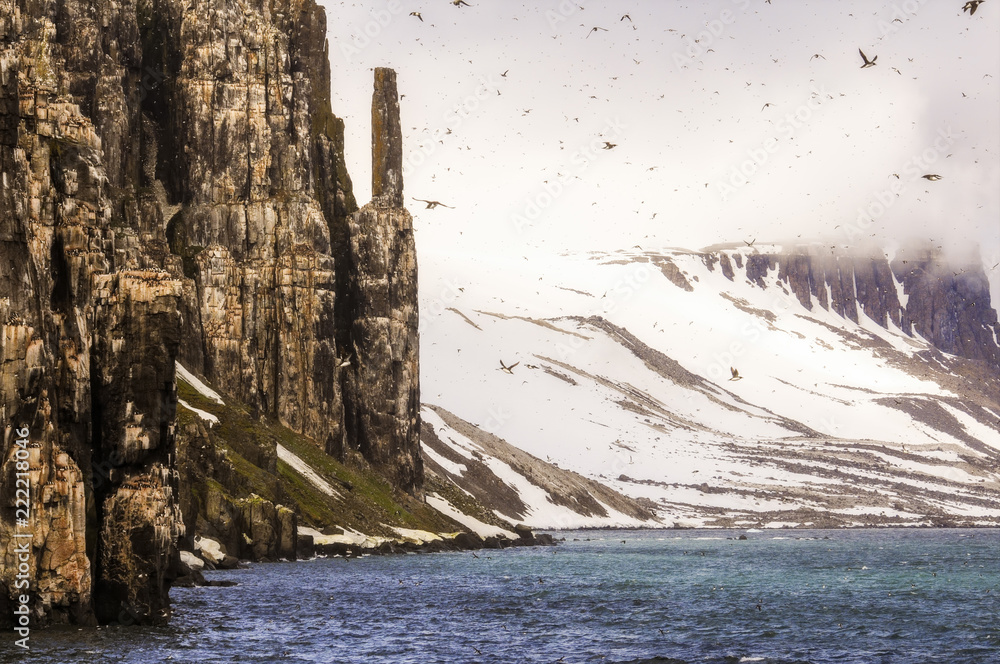 Cliffs with Thousands of Sea Birds Roosting in the Arctic Ocean off the Coast of Norway. Fog, Snow, & Ice, with SeaBirds Flying in the Sky Cliffs with Thousands of Sea Birds Roosting in the Arctic Ocean off the Coast of Norway. Fog, Snow, & Ice, with SeaBirds Flying in the Sky