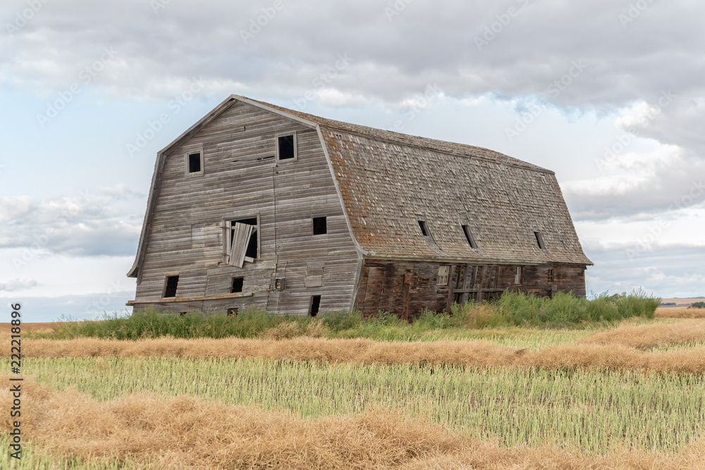 big rustic barn in a swathed field big rustic barn in a swathed field