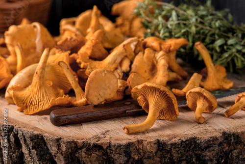 Raw wild mushrooms chanterelles in basket with dill on wooden background.