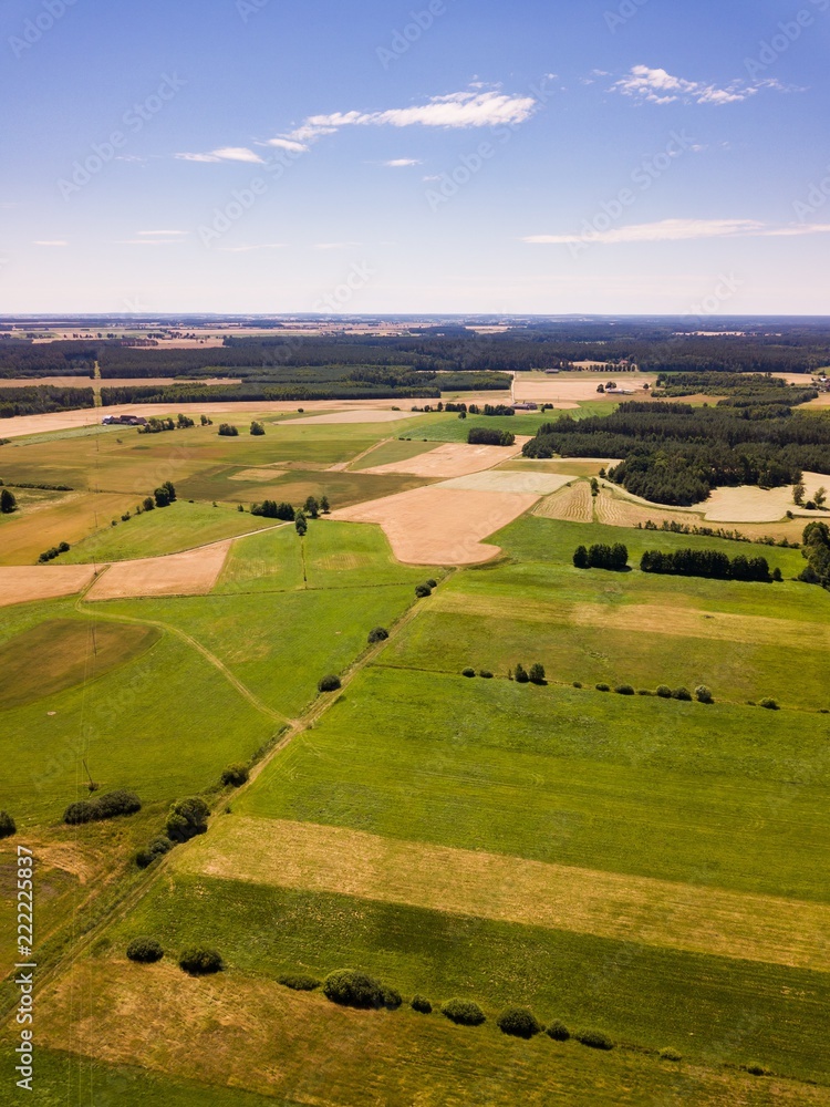 Beautiful summer fields from above