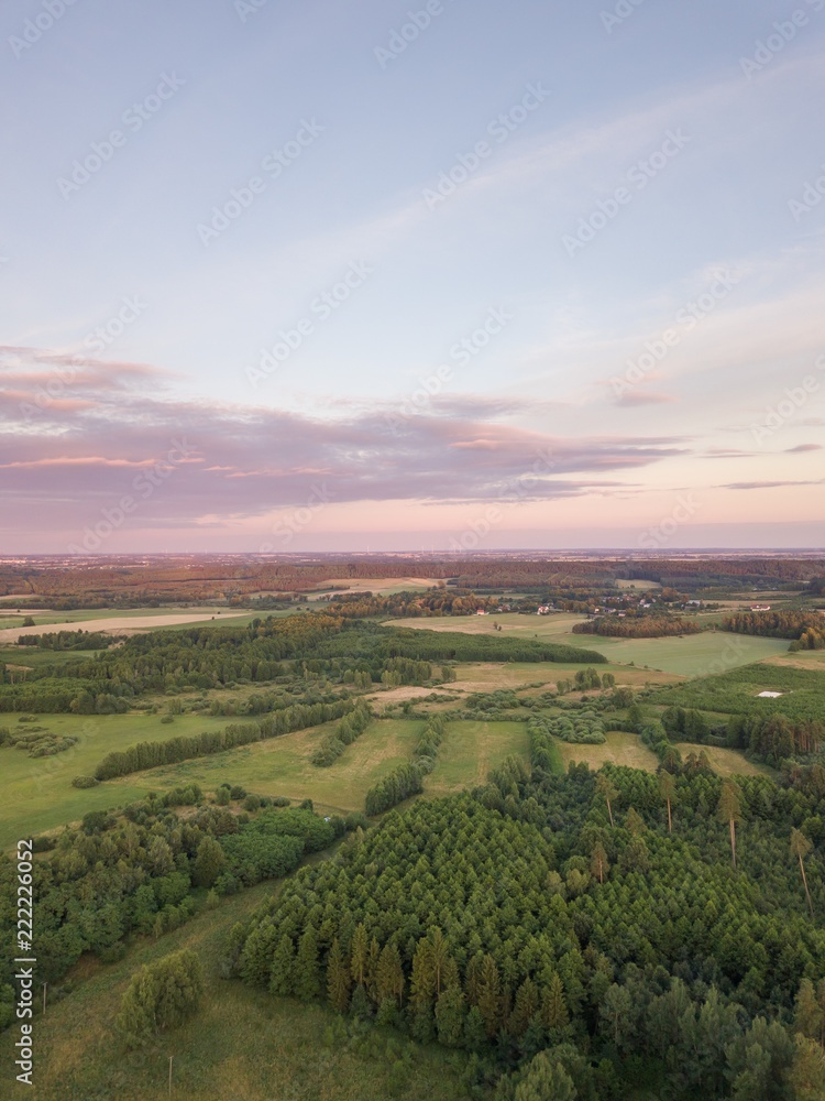 Aerial landscape with forest in sunset light