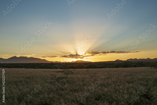 A background image of Southeast Arizona's grasslands.