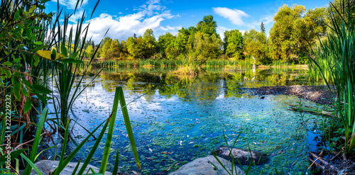 The small pond in Riverside Park has small floating islands that help purify the water.