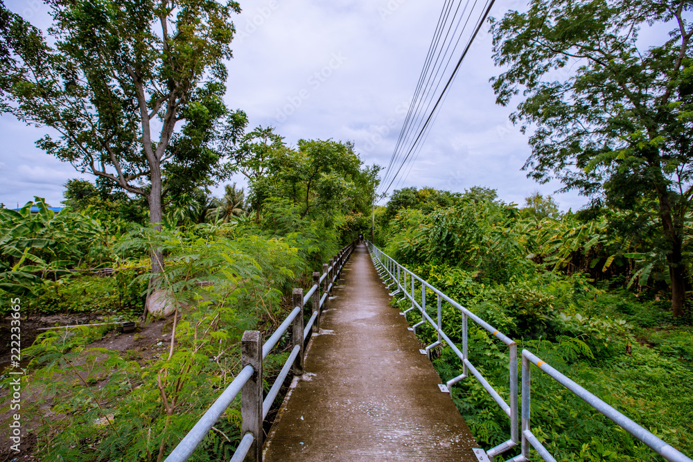 Obraz premium Backgrounds, roads used in the community, can be cycled, scenic travel, ecotourism, often seen by major tourist attractions and gardens of villagers, wooden houses on the way.