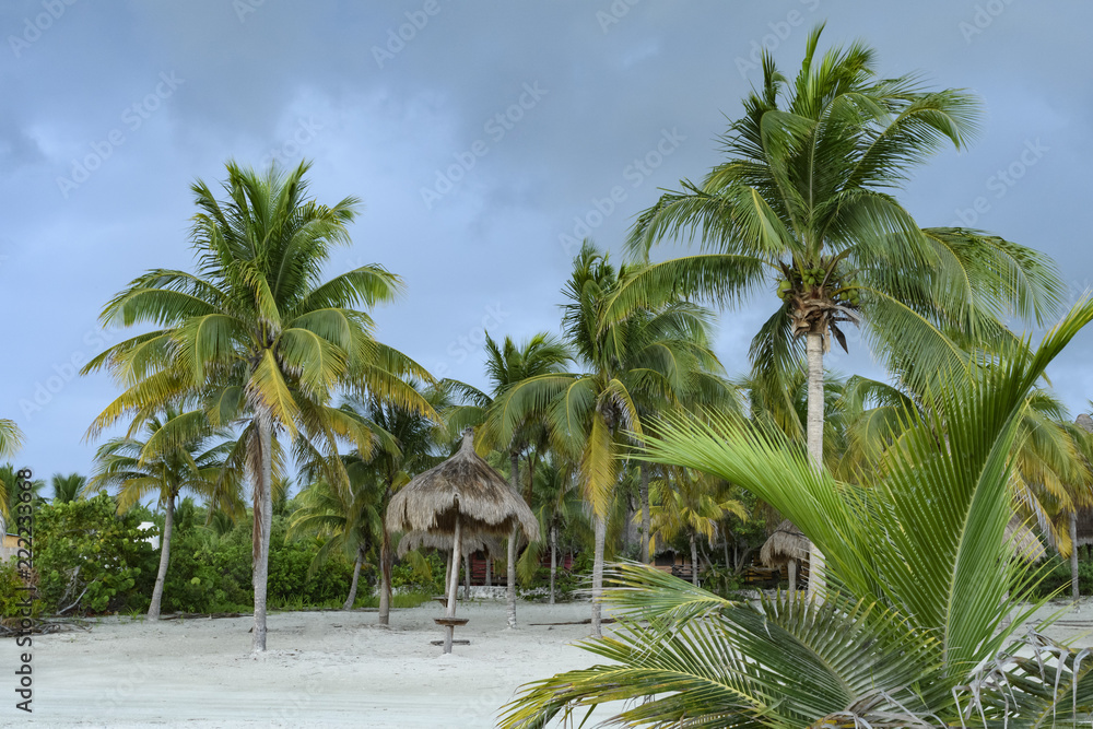 Fototapeta premium Palapas and palm trees on a sandy beach of Gulf of Mexico