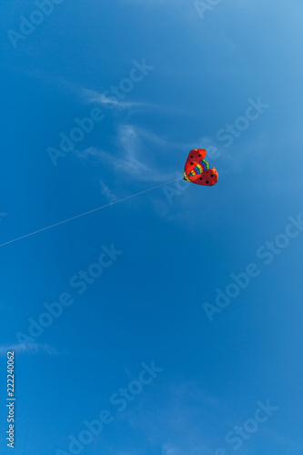 red kite ladybug in the sky
