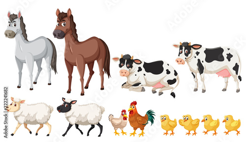 A set of farm animals on white background